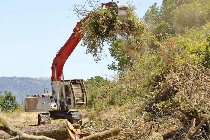 Land Clearing