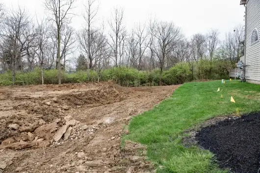 Benefits Of Land Clearing For Managing Overgrown Vegetation Piedmont SC Benefits Of Land Clearing For Managing Overgrown Vegetation Piedmont SC
