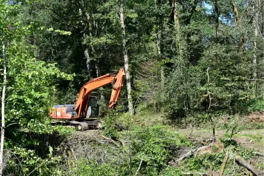 Benefits Of Land Clearing For Managing Overgrown Vegetation in Piedmont SC Benefits Of Land Clearing For Managing Overgrown Vegetation in Piedmont SC