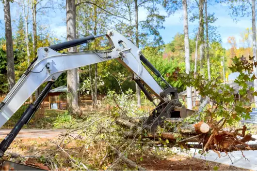 The Importance Of Land Clearing For Site Development Success in Piedmont SC The Importance Of Land Clearing For Site Development Success in Piedmont SC